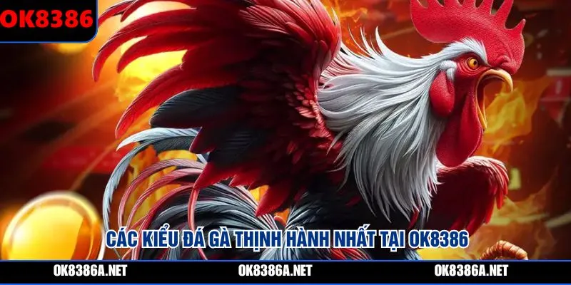 Các kiểu đá gà thịnh hành nhất tại OK8386