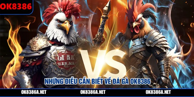 Những điều cần biết về đá gà OK8386