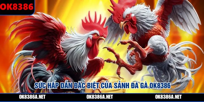 Sức hấp dẫn đặc biệt của sảnh đá gà OK8386